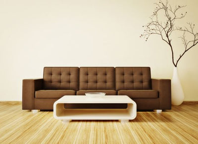 Kaip išsirinkti sofą lovą internetu?